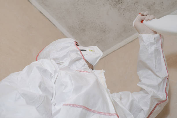 Home Mold Removal in Fairwood, MD